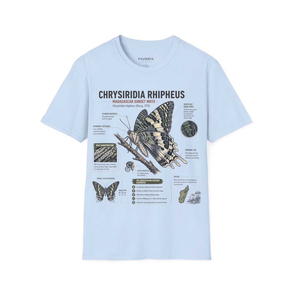 Moth Anatomy Tee — Chrysiridia Rhipheus Madagascar Sunset Moth Scientific Print Main image
