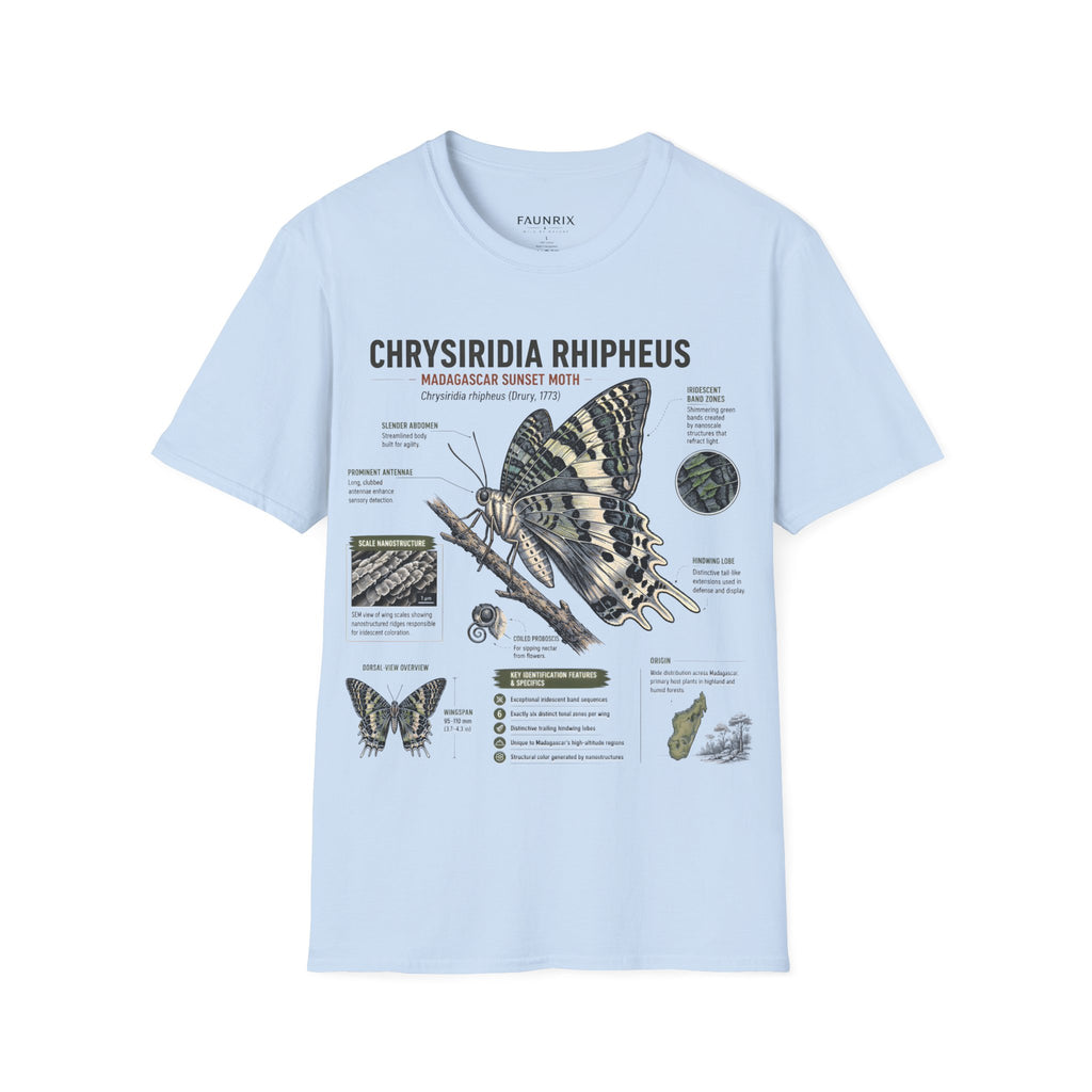 Moth Anatomy Tee — Chrysiridia Rhipheus Madagascar Sunset Moth Scientific Print