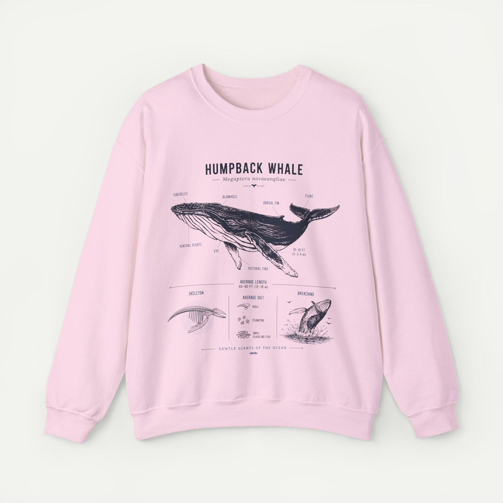 Humpback Whale Anatomy Sweatshirt