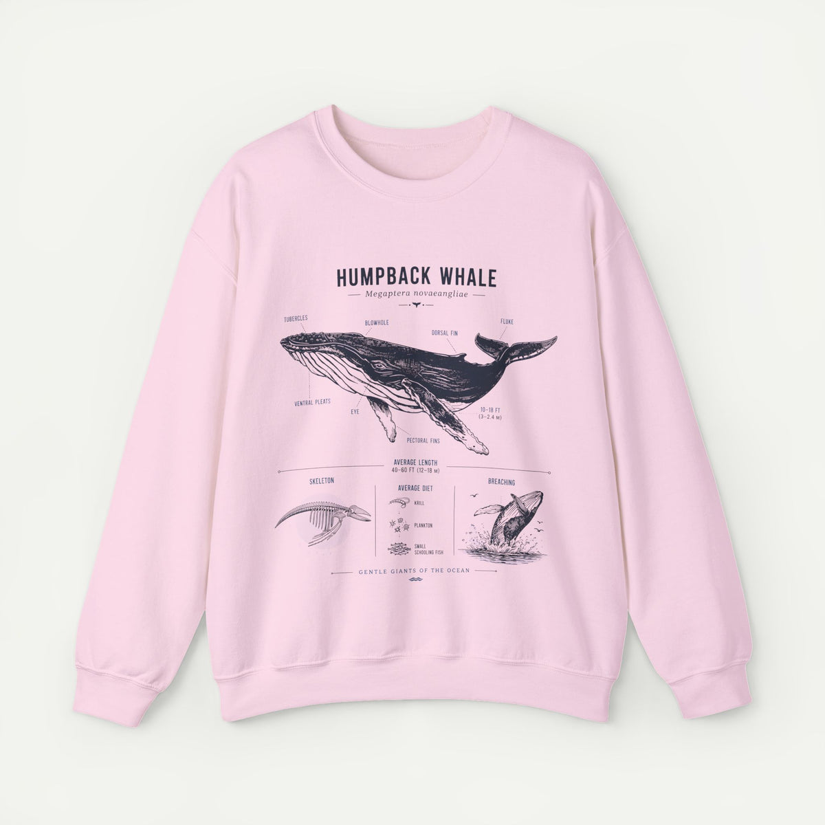 Humpback Whale Anatomy Sweatshirt