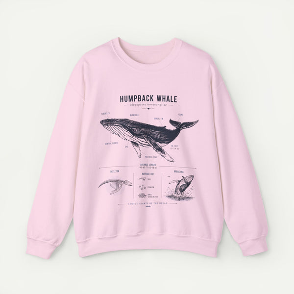 Humpback Whale Anatomy Sweatshirt
