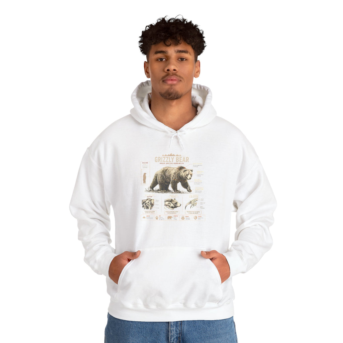 Hoodie — Vintage Bear Anatomy Graphic Hoodie