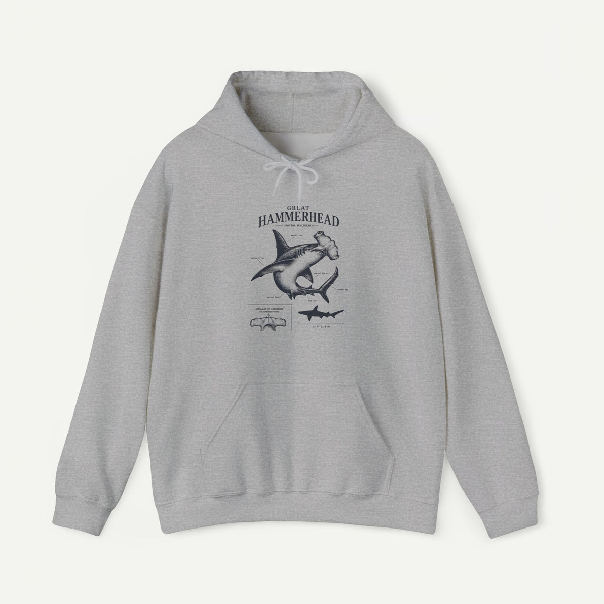 Hammerhead Shark Anatomy Hoodie – Marine Biology Graphic