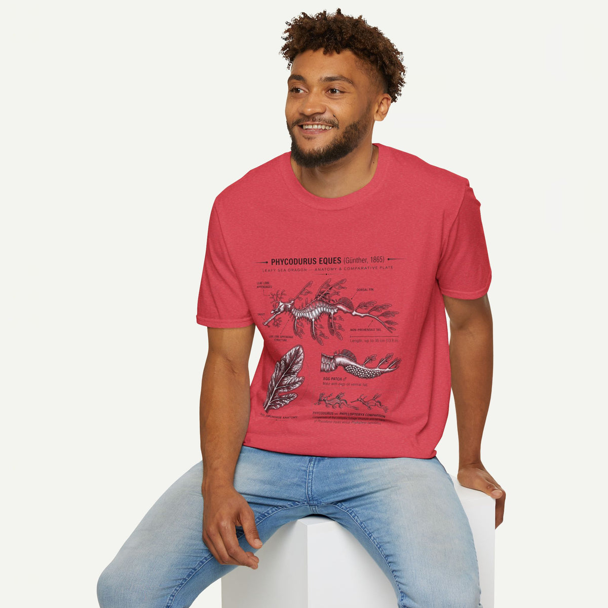 Sea Dragon Anatomy T-Shirt — Phycodurus Eques Botanical Illustration Tee