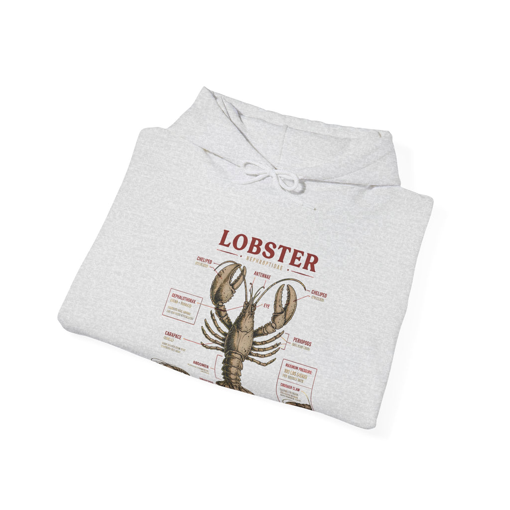Lobster Anatomy Hoodie – Nautical Seafood Illustration Pullover