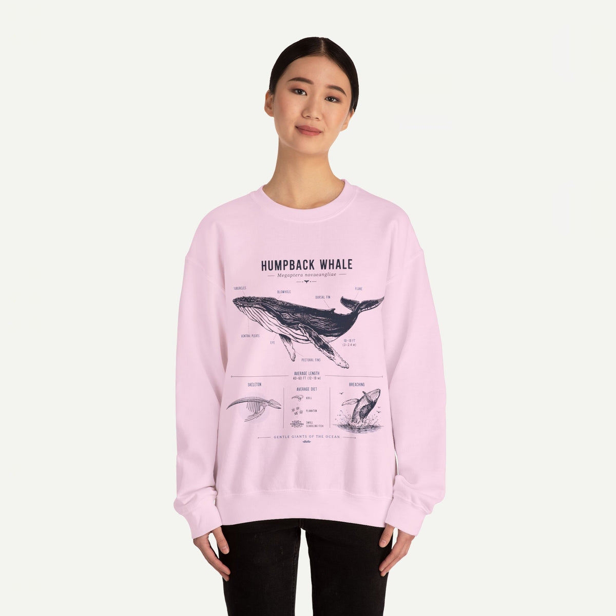 Humpback Whale Anatomy Sweatshirt