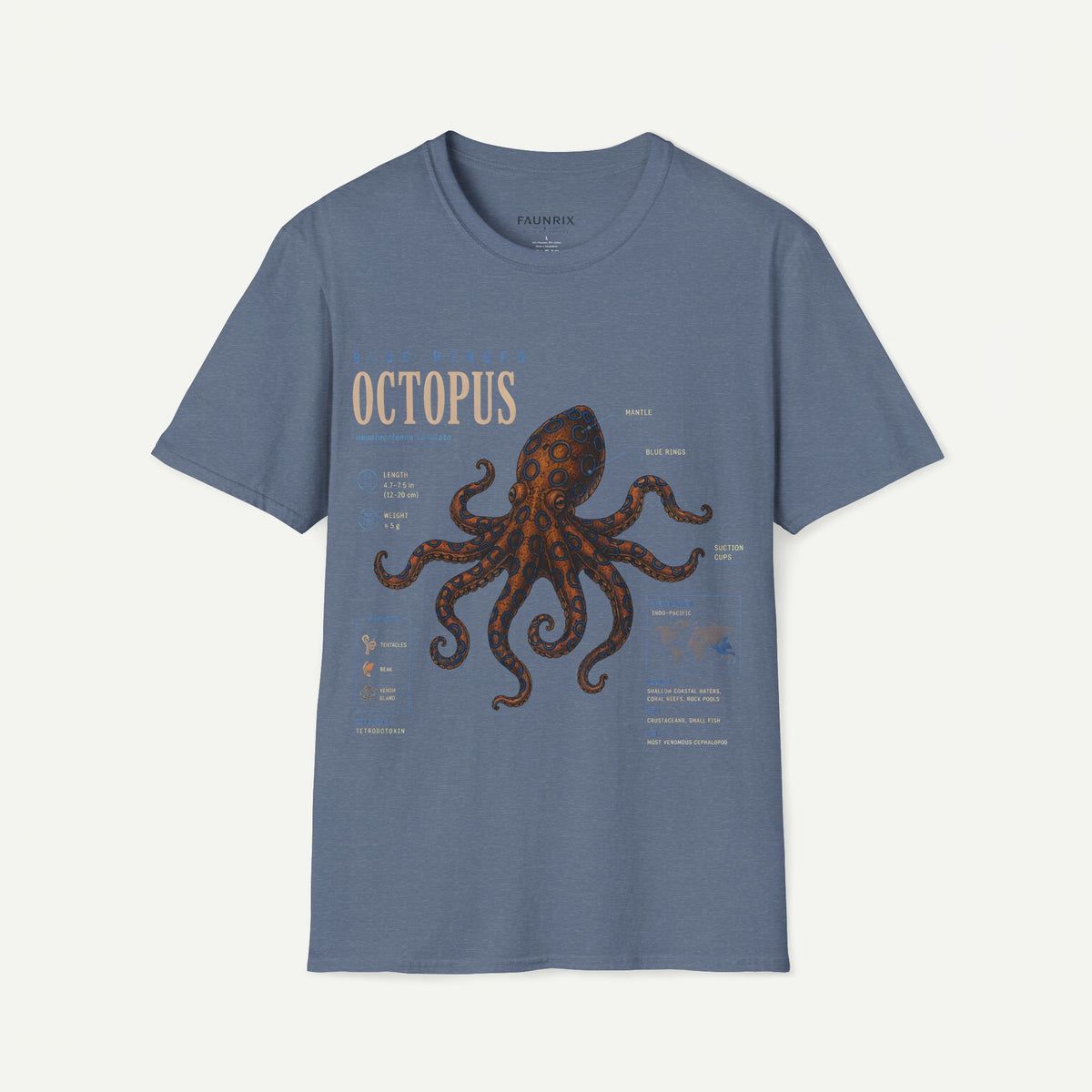 Octopus Anatomy Graphic T-Shirt — Vintage Blue-Ringed Octopus Design Main image