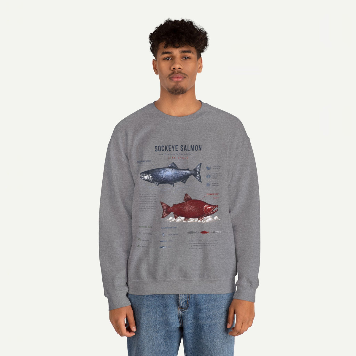 Sockeye Salmon Anatomy Sweatshirt — Fish Anatomy Graphic Crewneck