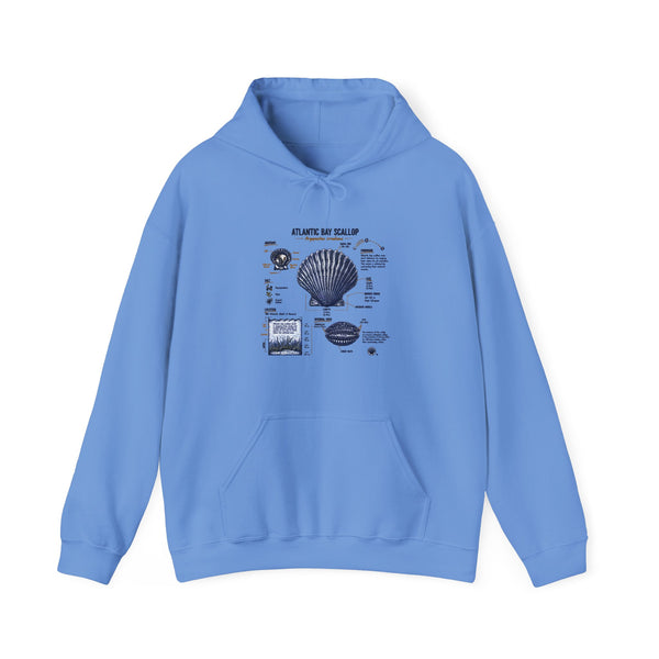 Seashell Anatomy Hoodie – Nautical Beach Diagram Sweatshirt