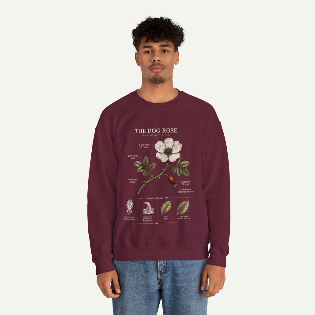 Dog Rose Botanical Sweatshirt — Vintage Floral Anatomy Crewneck