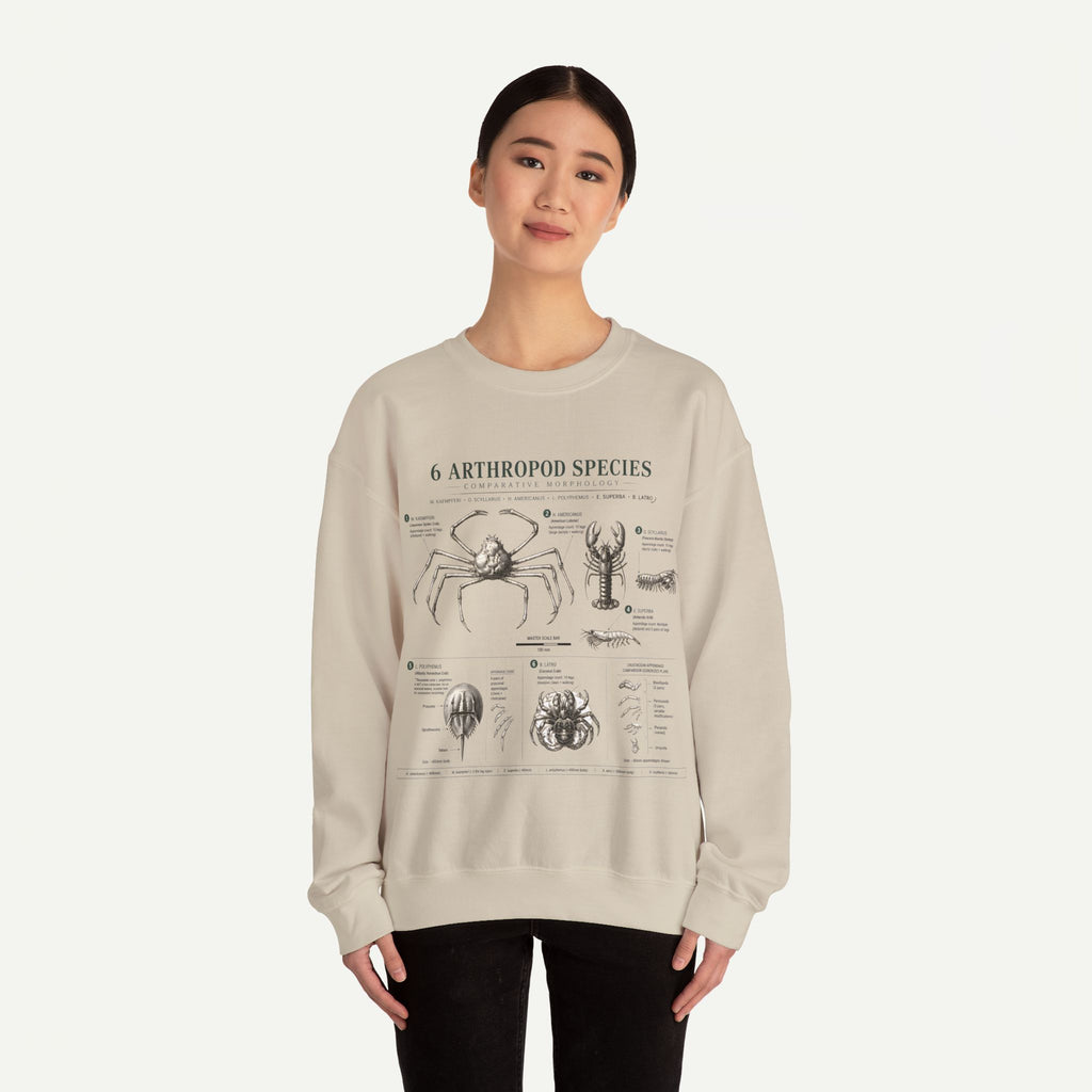 Arthropod Species Crewneck Sweatshirt — Vintage Scientific Bug Anatomy Pullover