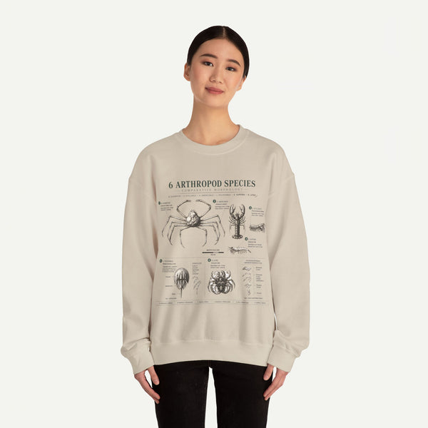 Arthropod Species Diagram Sweatshirt — Vintage Scientific Illustration Crewneck