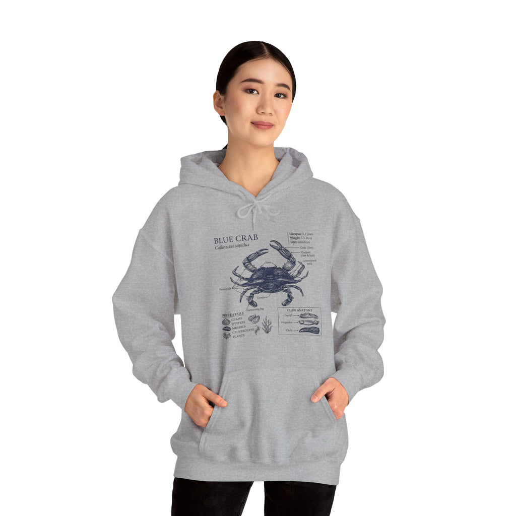Blue Crab Anatomy Hoodie – Nautical Marine Biology Graphic Sweatshirt