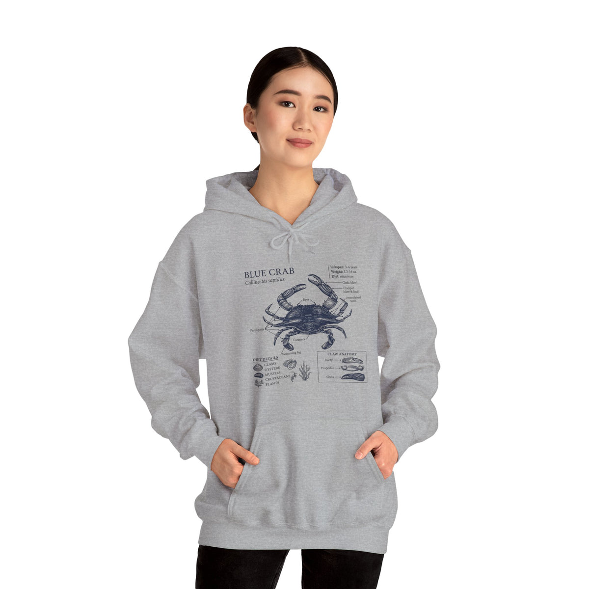 Blue Crab Anatomy Hoodie – Nautical Marine Biology Graphic Sweatshirt