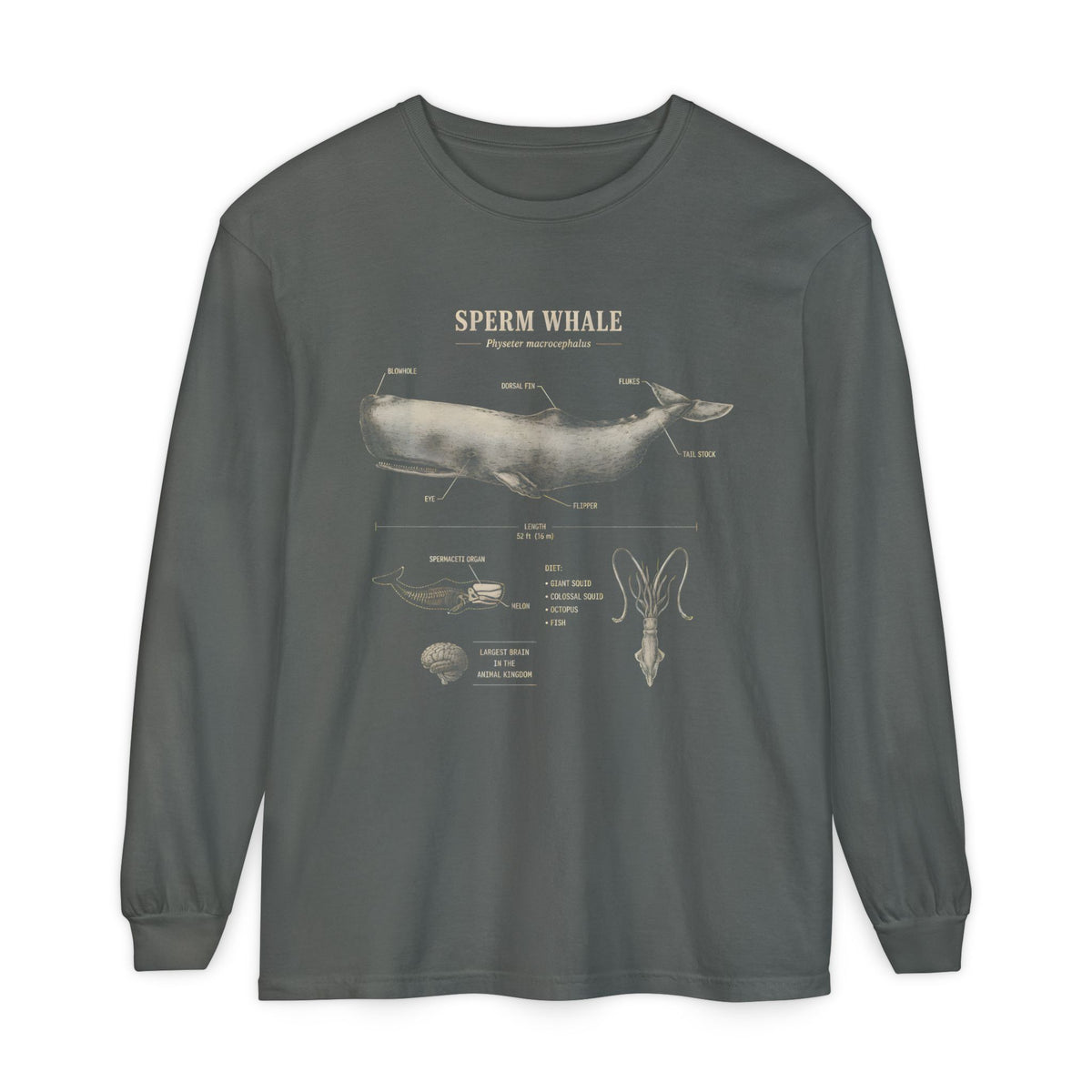 Sperm Whale Anatomy Long Sleeve Tee — Marine Life Graphic Shirt