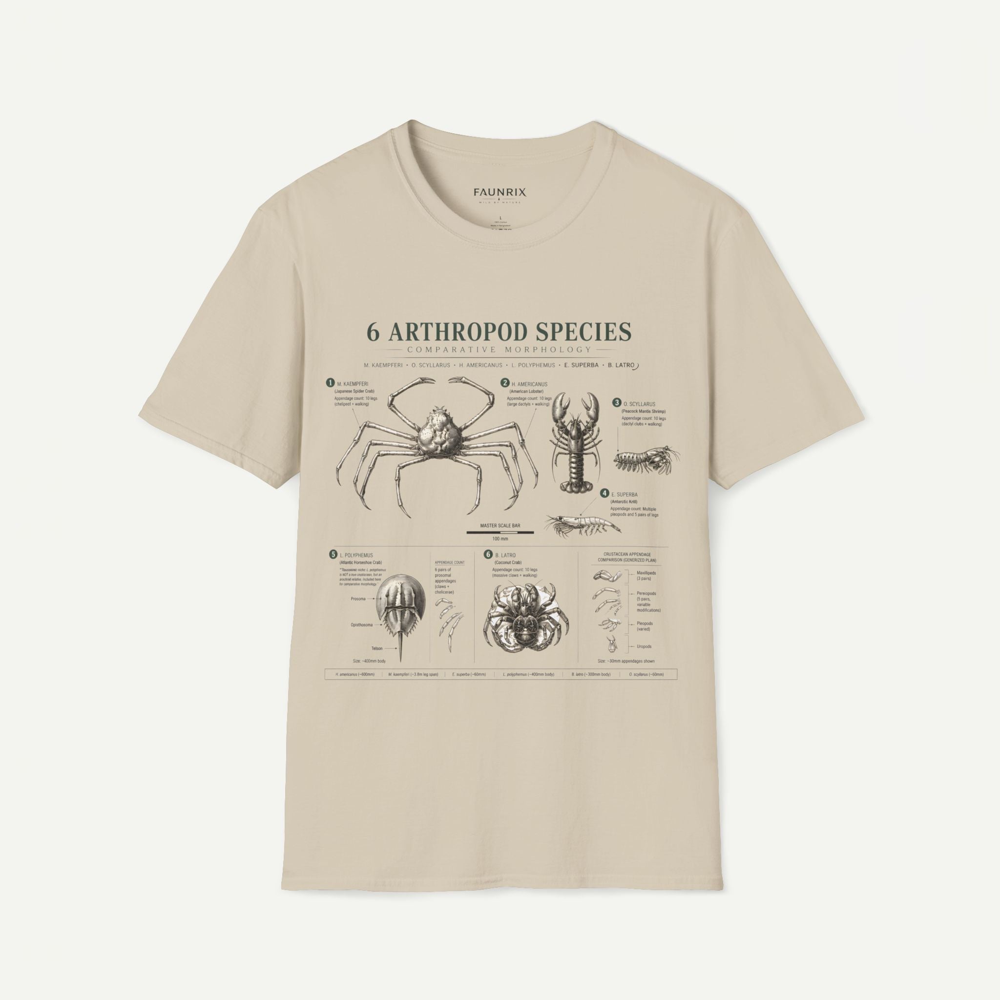 Arthropod Species Graphic Anatomy T-Shirt — 6 Detailed Arthropod Illustrations Secondary image