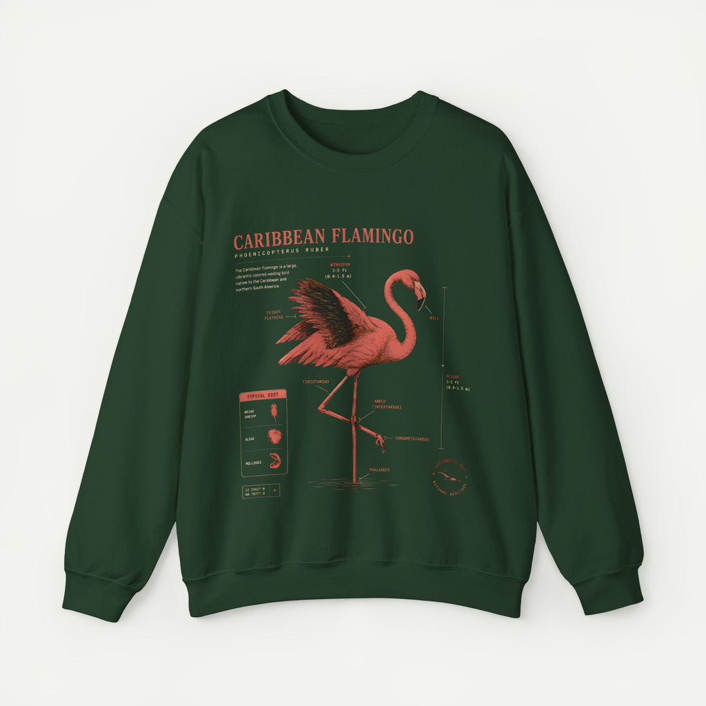 Flamingo Anatomy Field Guide Crewneck Sweatshirt