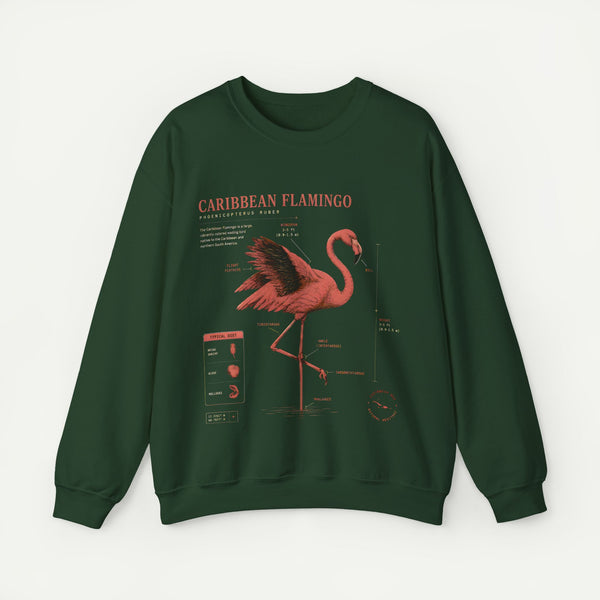 Flamingo Anatomy Field Guide Crewneck Sweatshirt