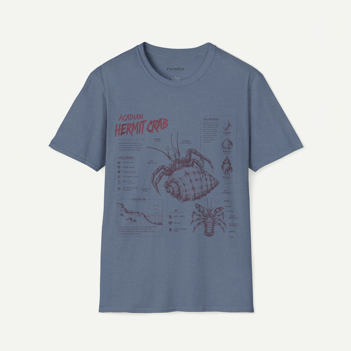 Hermit Crab Anatomy T-Shirt — Acadian Marine Illustration Tee