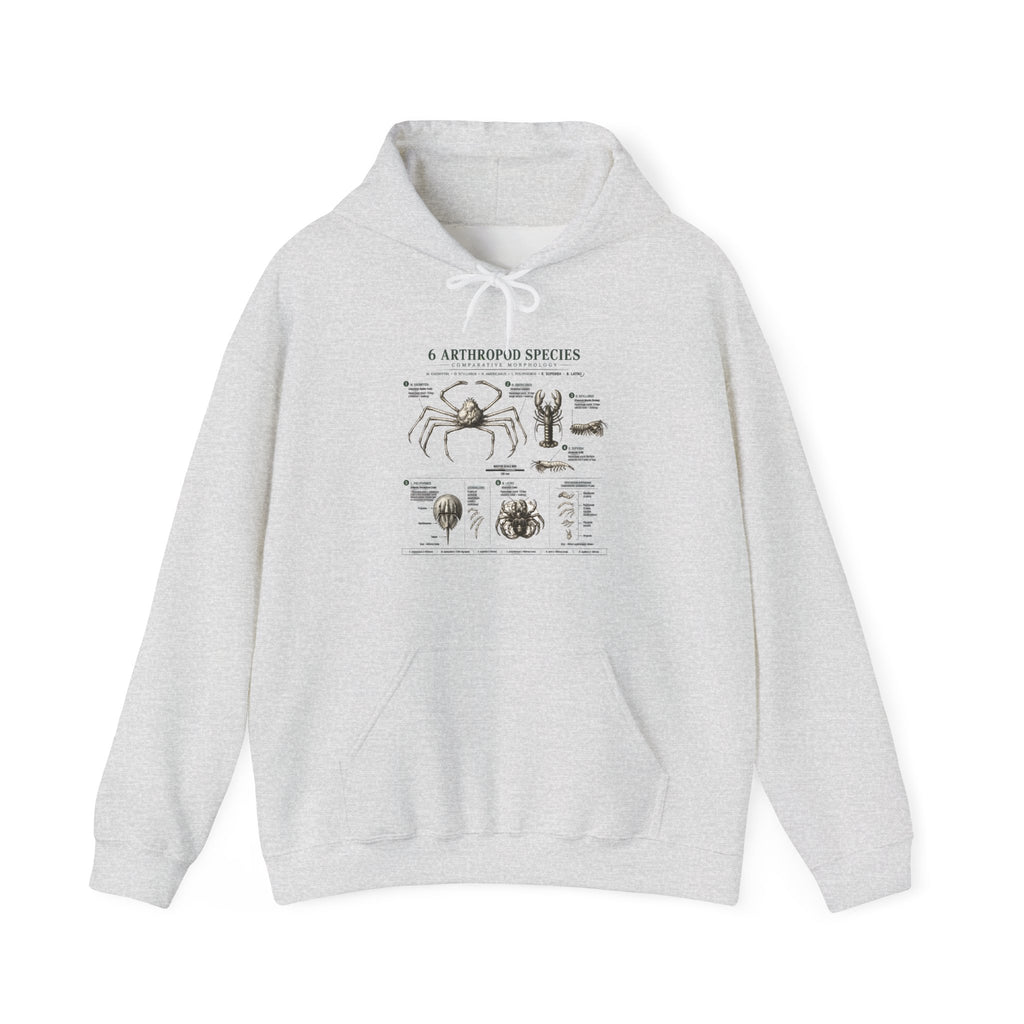 Arthropod Species Hoodie – Vintage Scientific Diagram Sweatshirt