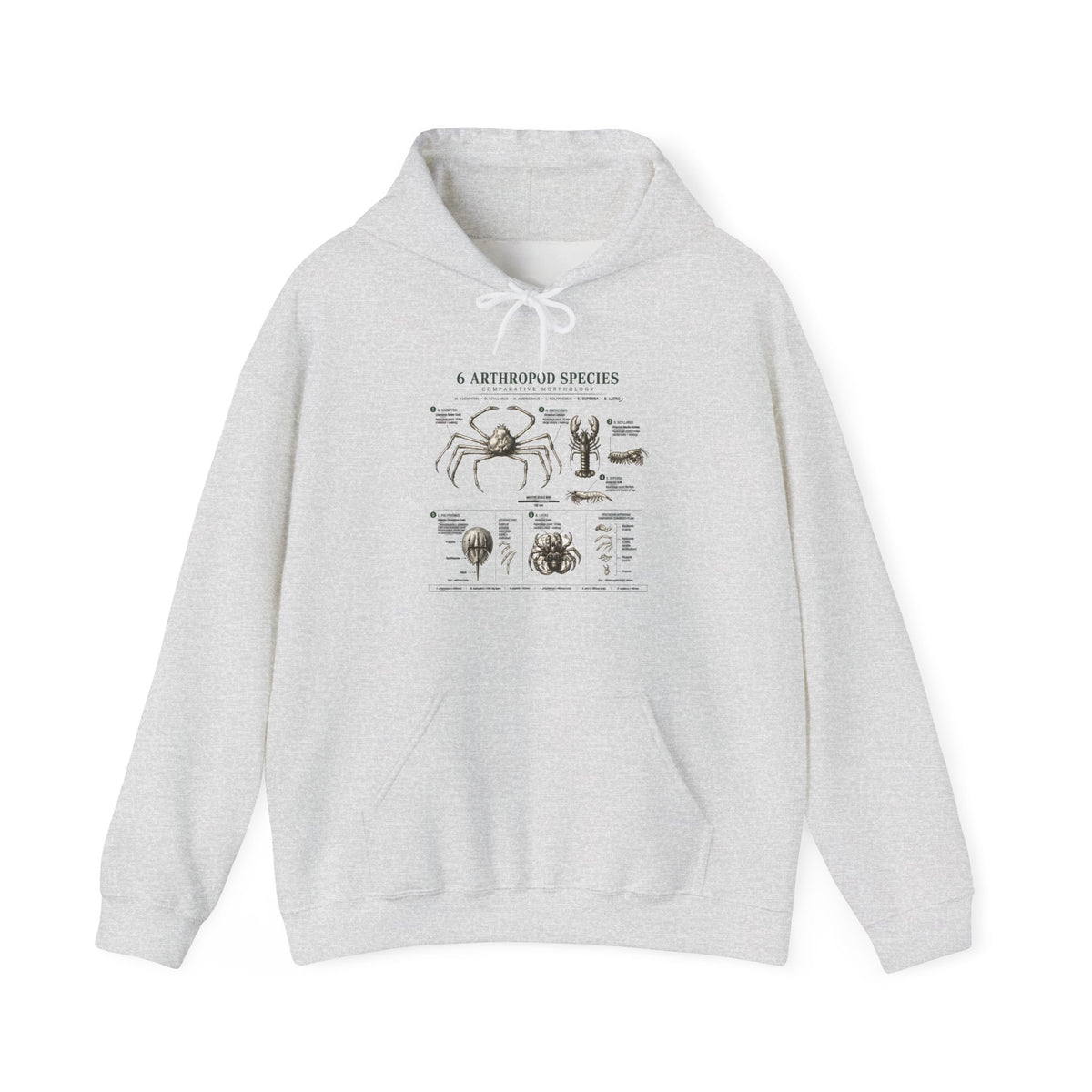 Arthropod Species Hoodie – Vintage Scientific Diagram Sweatshirt