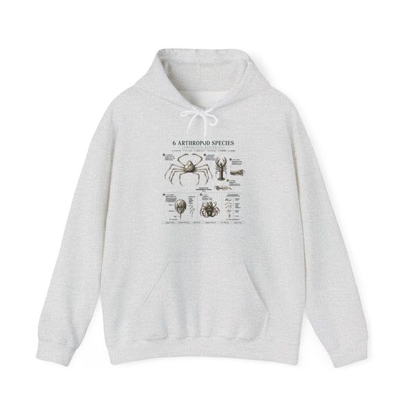 Arthropod Species Hoodie – Vintage Scientific Diagram Sweatshirt