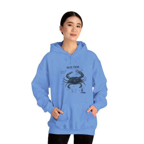 Blue Crab Anatomy Hoodie — Nautical Marine Biology Graphic Sweatshirt