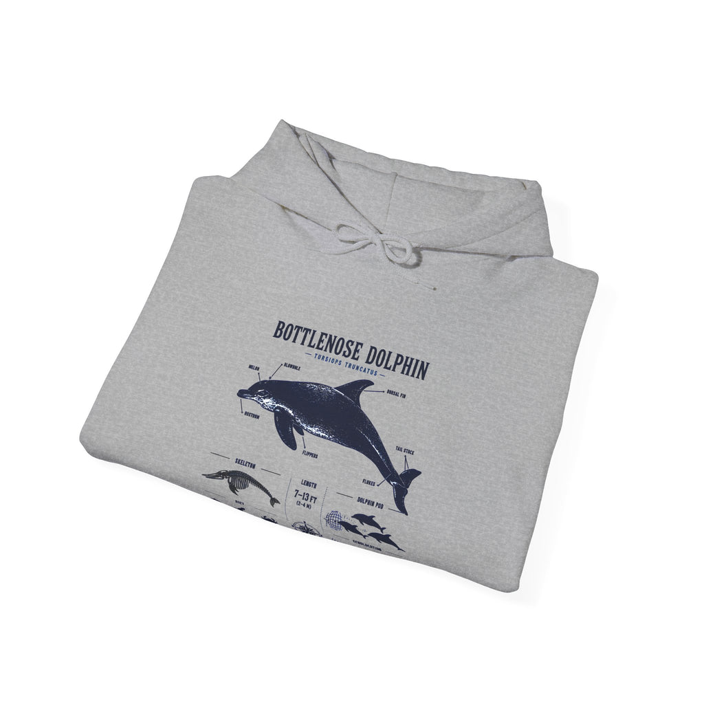 Bottlenose Dolphin Diagram Hoodie – Marine Life Anatomy Sweatshirt