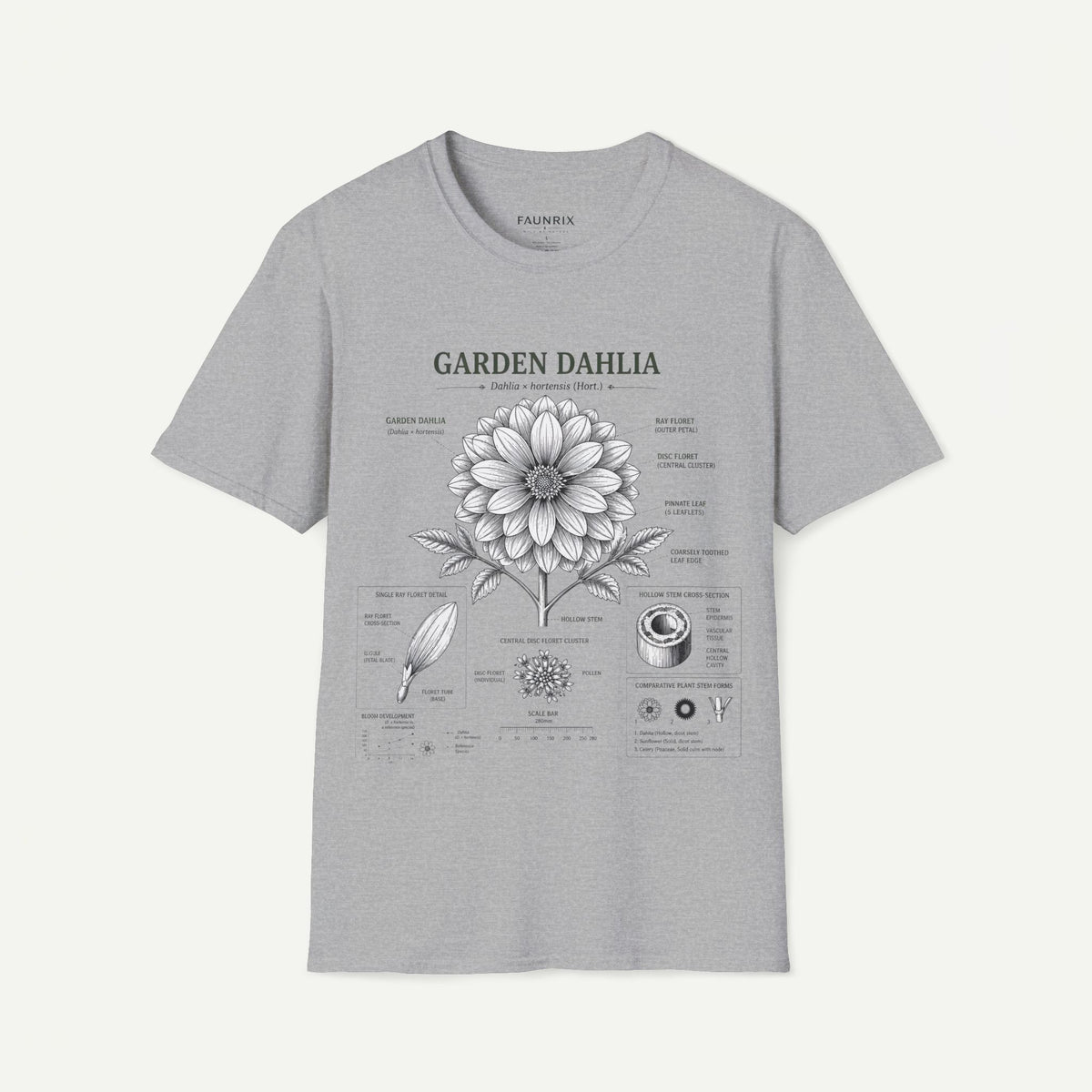 Dahlia Botanical Tee — 'Garden Dahlia' Floral Anatomy T-Shirt