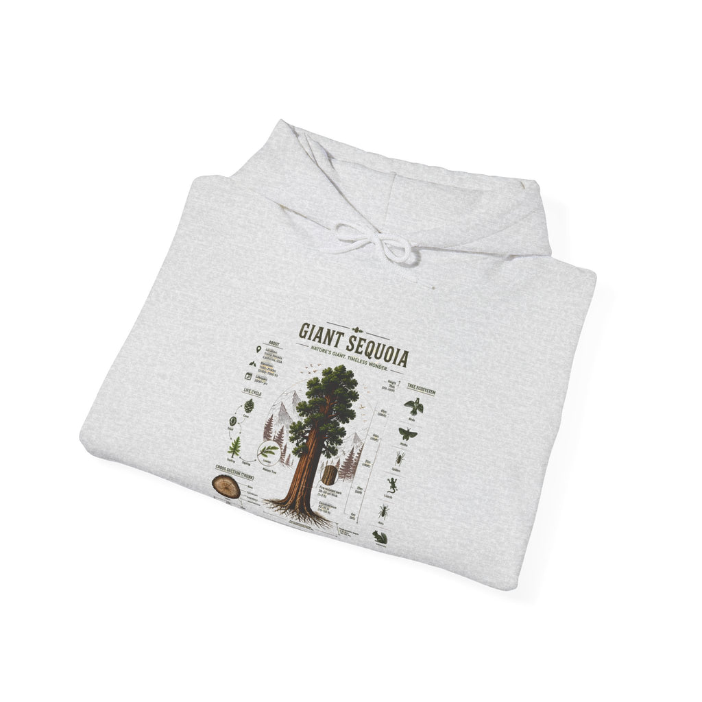 Giant Sequoia Botanical Hoodie — Vintage Tree Illustration & Facts