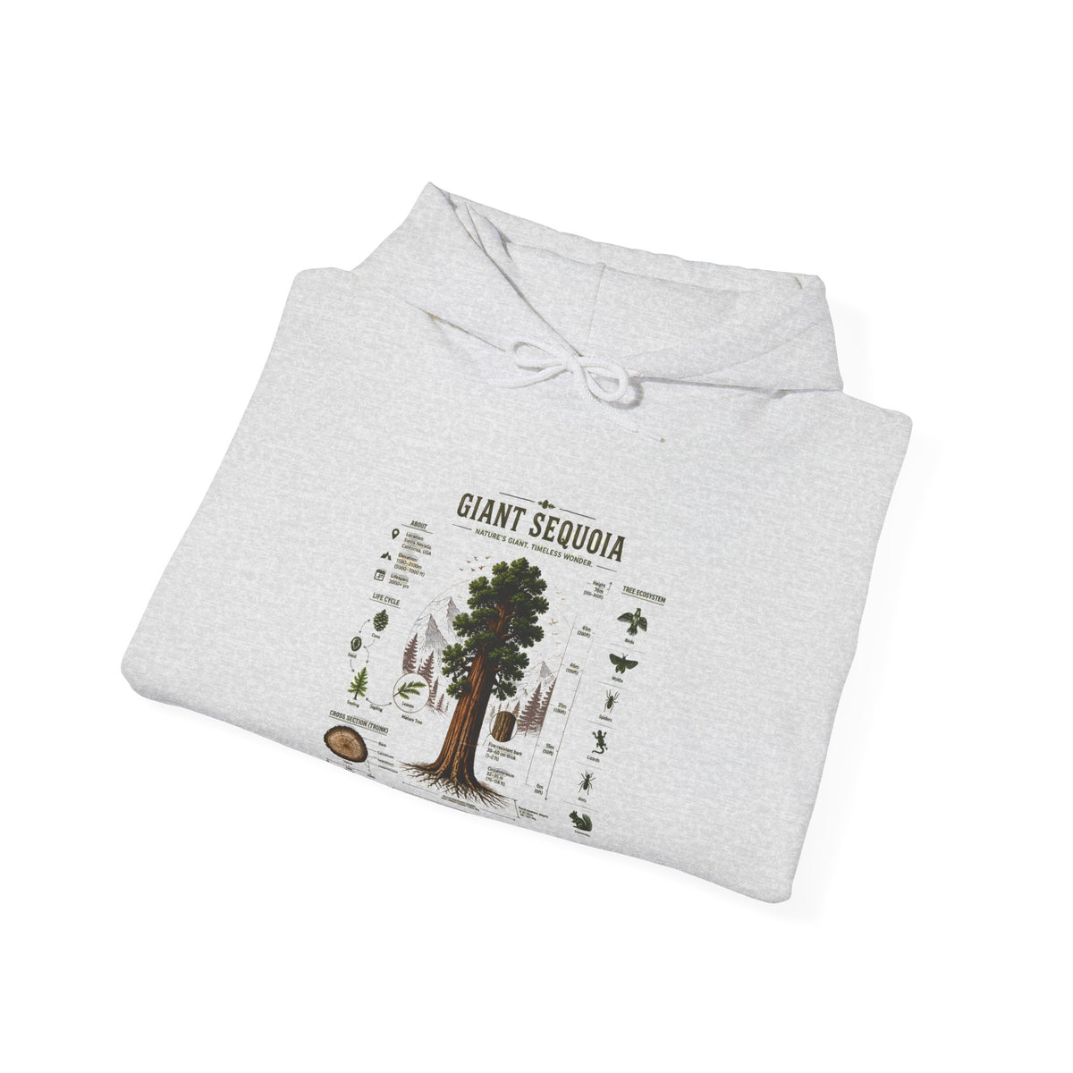 Giant Sequoia Botanical Hoodie — Vintage Tree Illustration & Facts