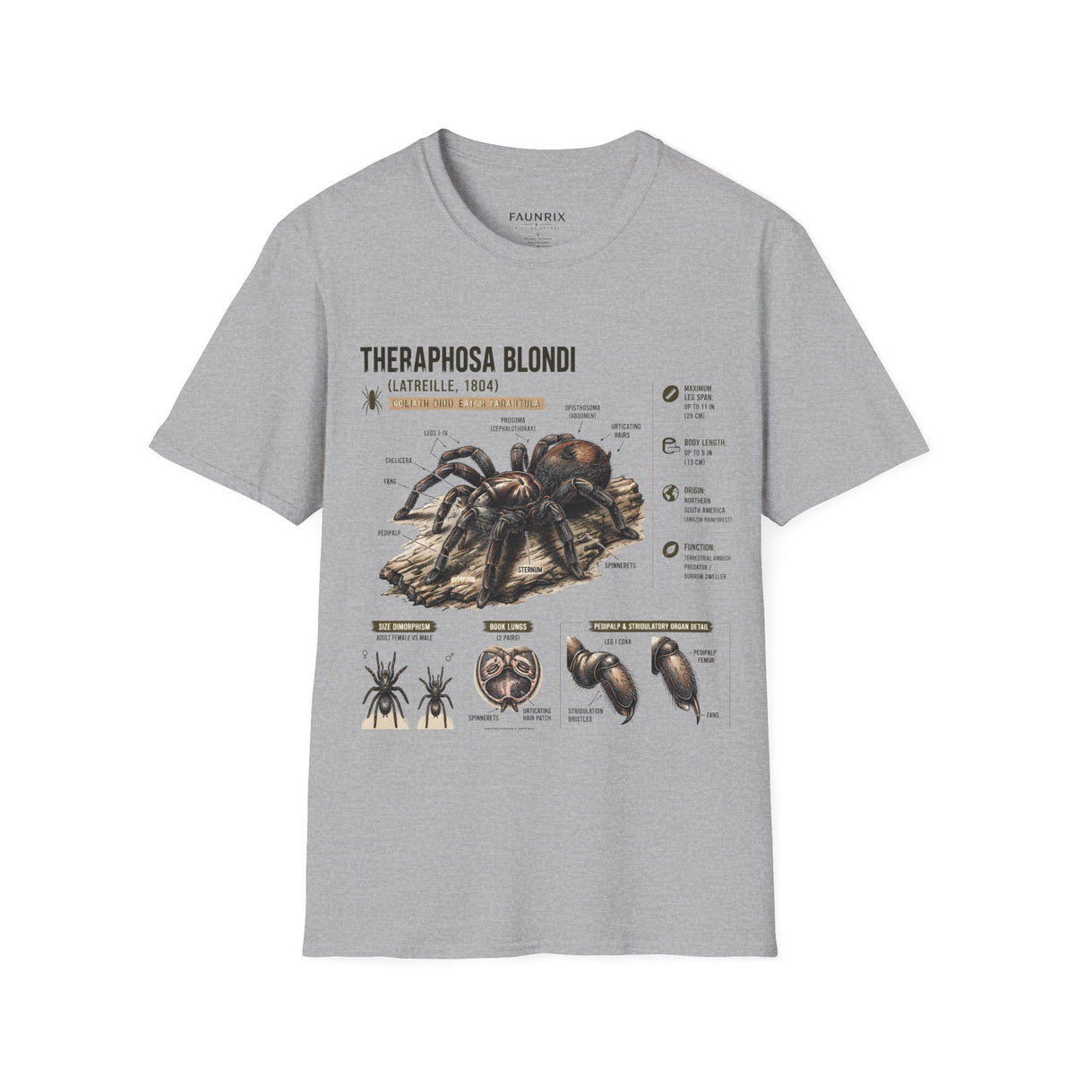 Theraphosa blondi Tarantula T-Shirt — Spider Anatomy Educational Tee