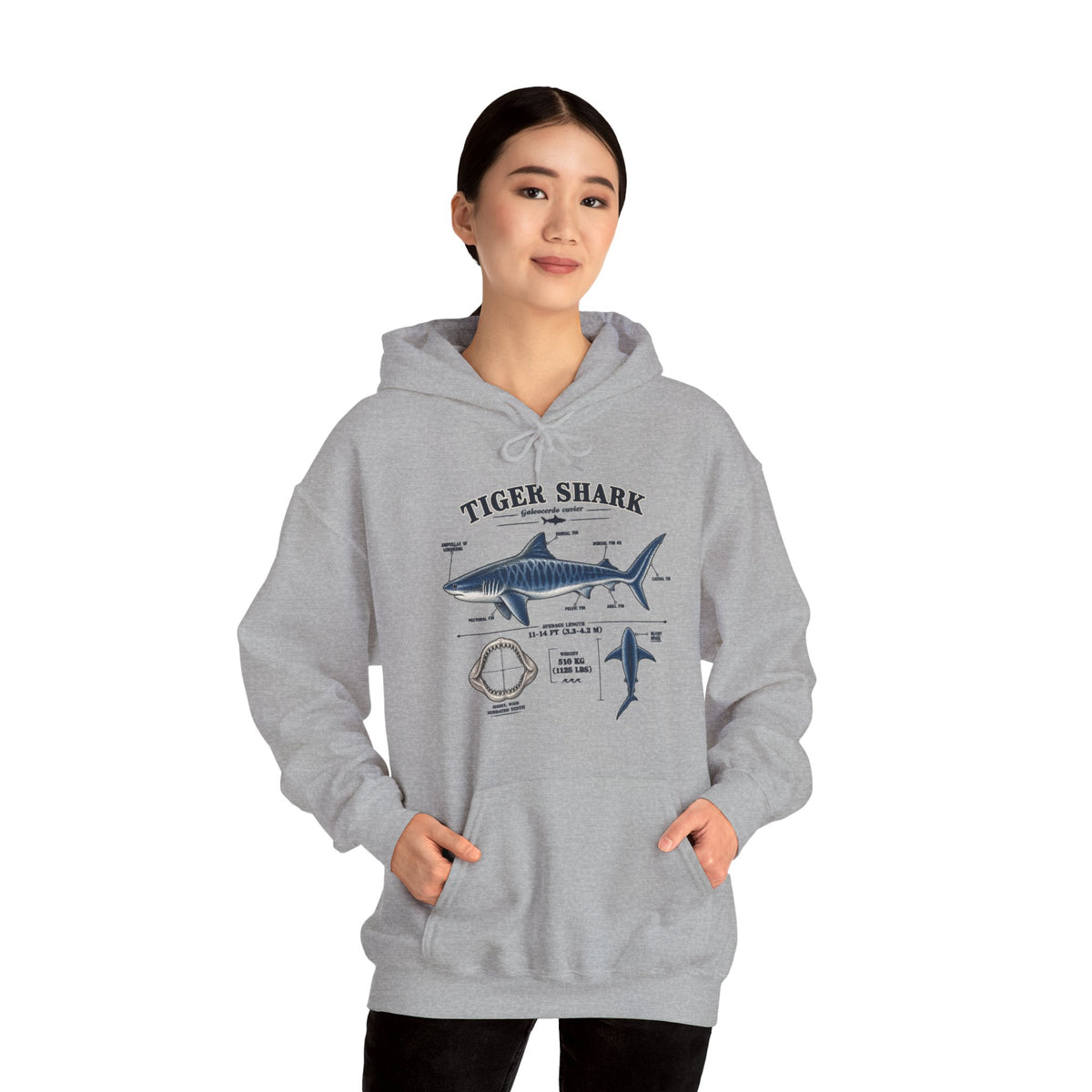 Tiger Shark Anatomy Hoodie — Nautical Science Graphic Pullover