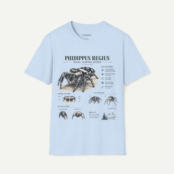 Phidippus Regius Jumping Spider Anatomy T-Shirt — Educational Arachnid Tee