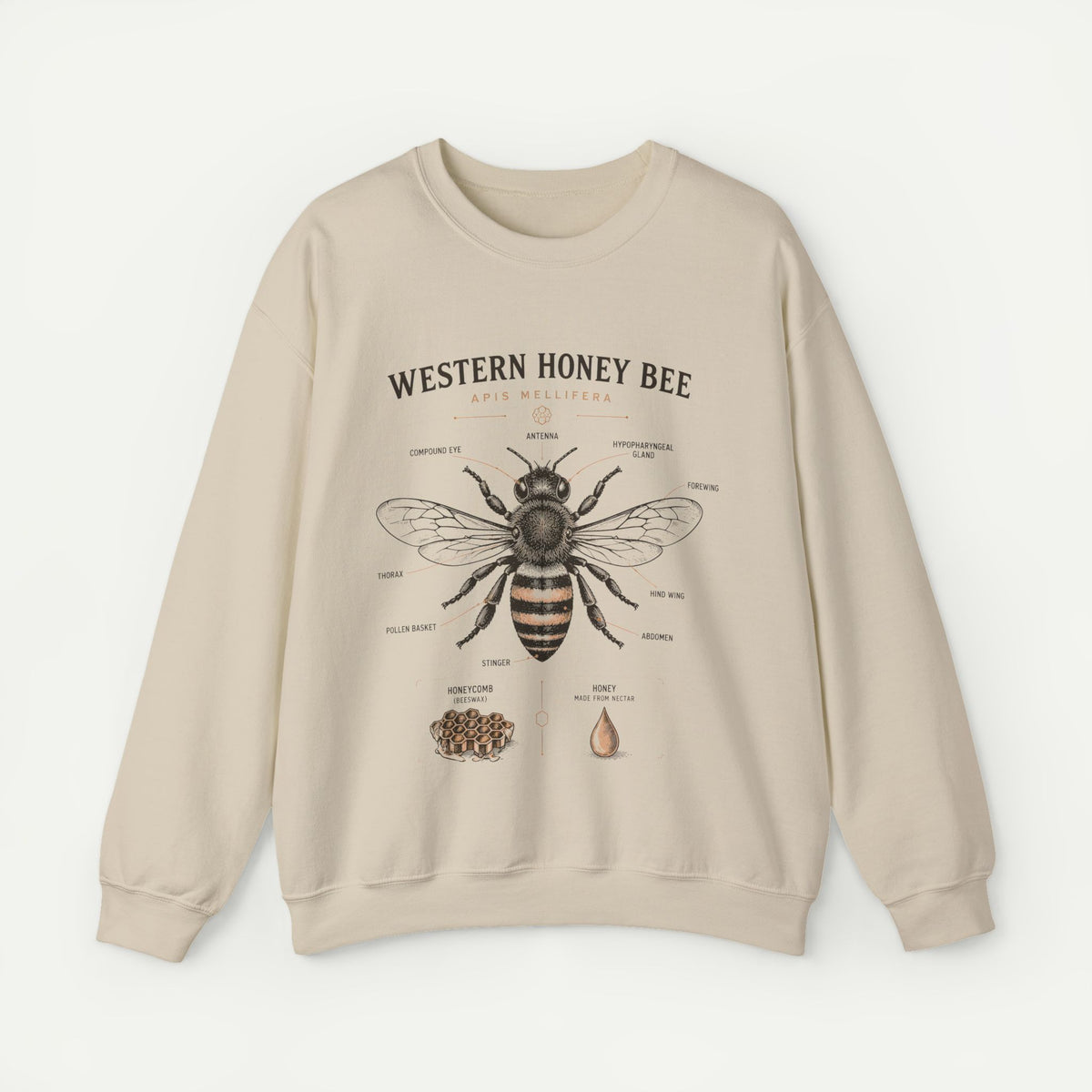 Western Honey Bee Sweatshirt — Vintage Bee Anatomy Graphic