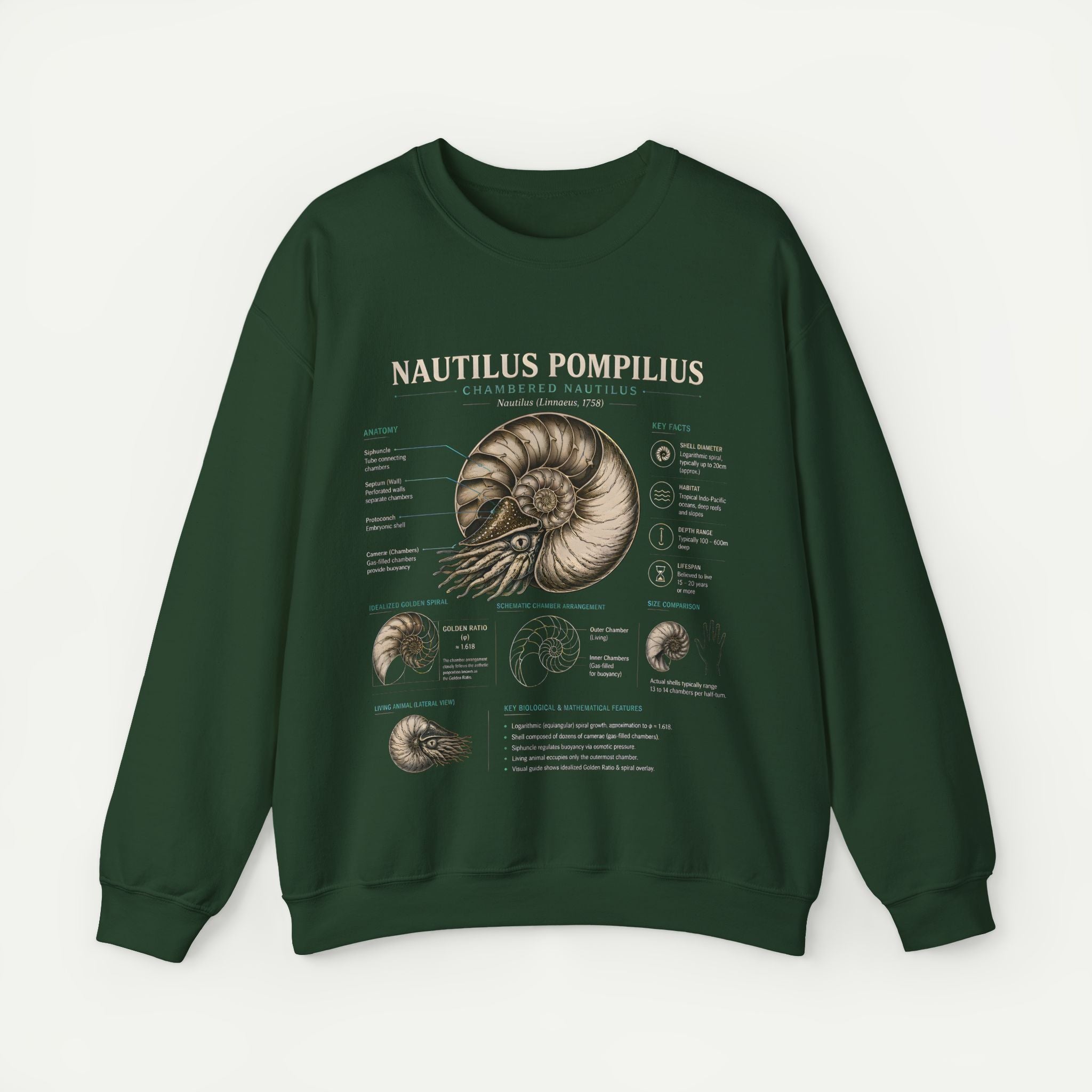 Nautilus Pompilius Anatomy Crewneck Sweatshirt Secondary image