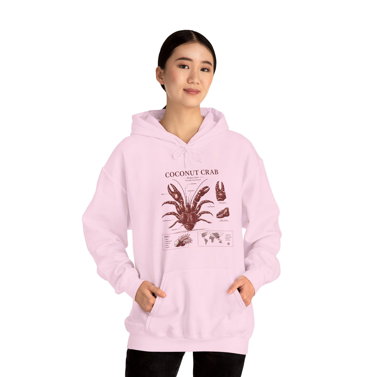 Coconut Crab Anatomy Hoodie — Vintage Botanical & Marine Study Print