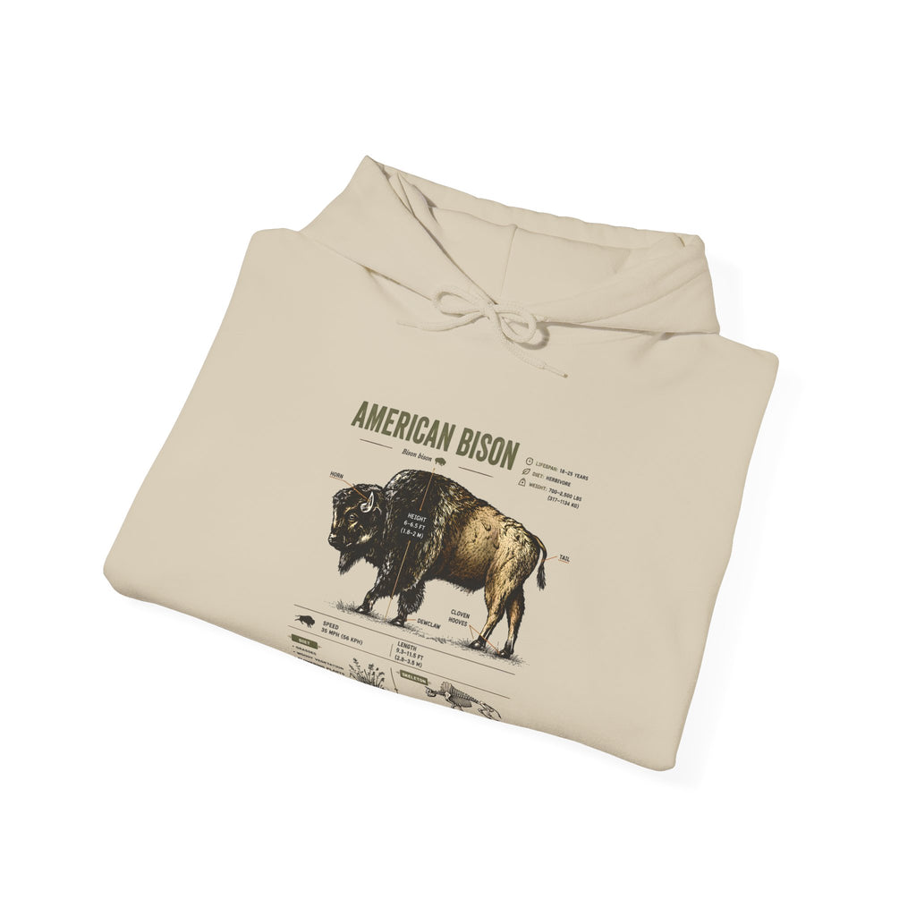 Bison Anatomy Hoodie — American Bison Illustration & Facts Sweatshirt