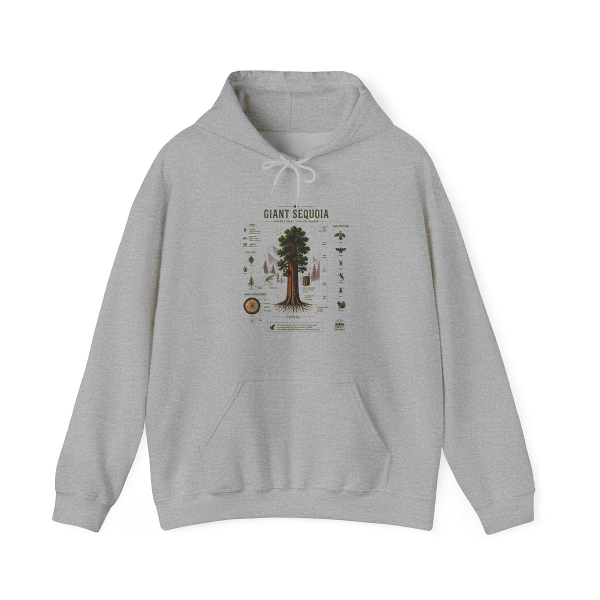 Giant Sequoia Botanical Hoodie — Vintage Tree Illustration & Facts