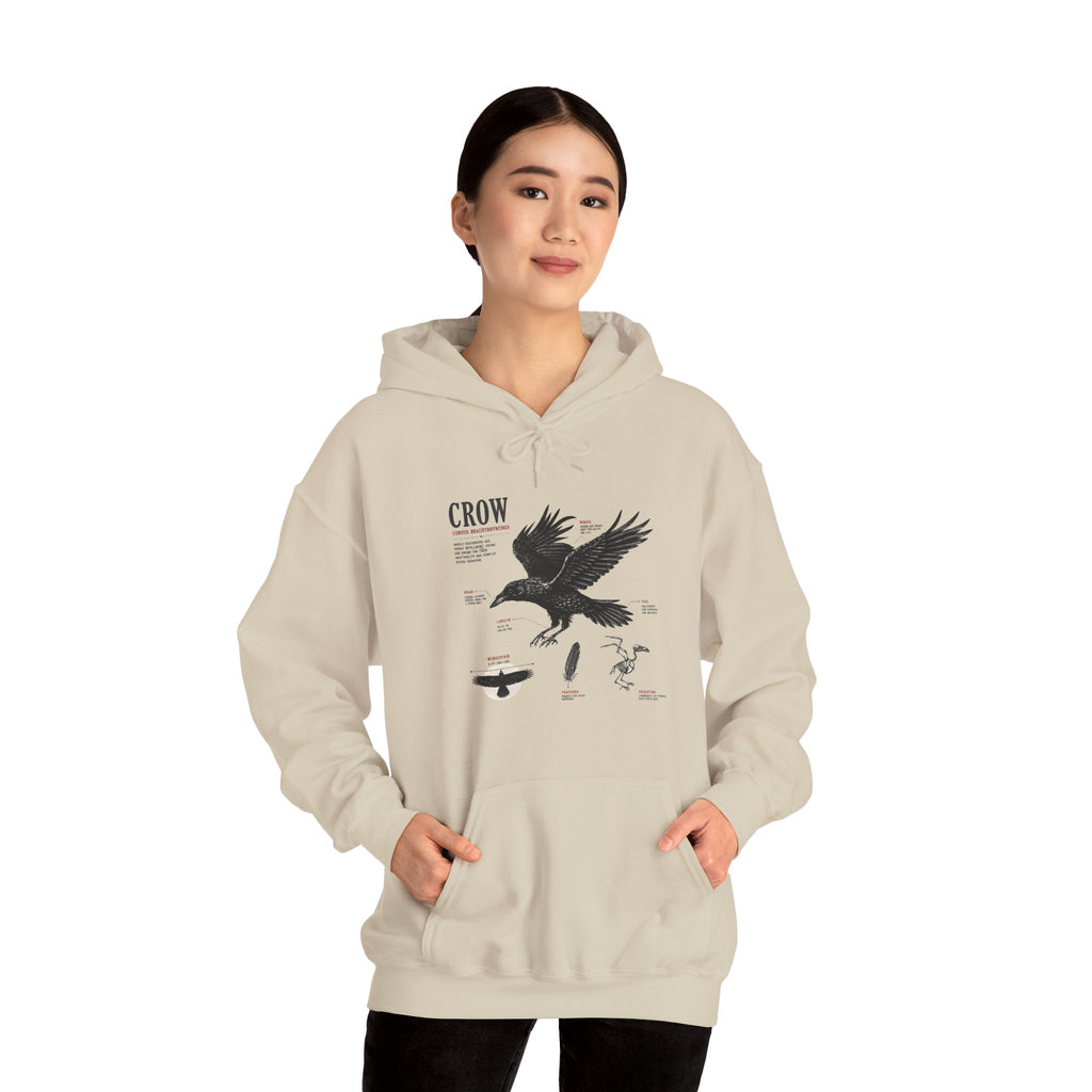 Crow Anatomy Hoodie — Vintage Raven Diagram Hooded Sweatshirt