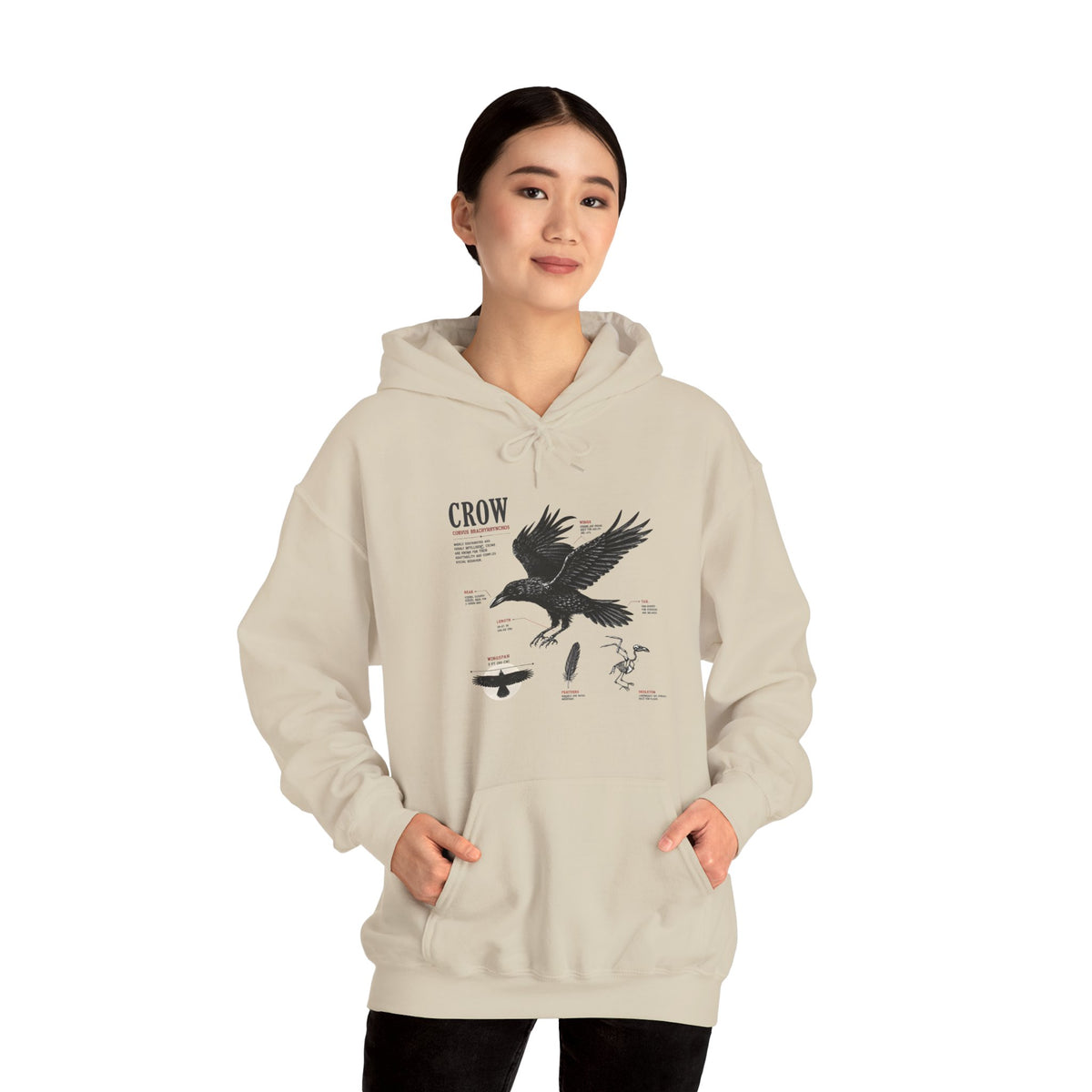 Crow Anatomy Hoodie — Vintage Raven Diagram Hooded Sweatshirt