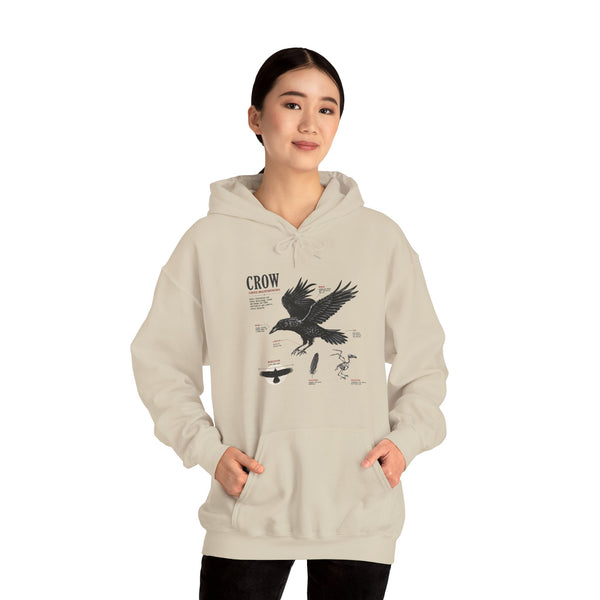 Crow Anatomy Hoodie — Vintage Raven Diagram Hooded Sweatshirt