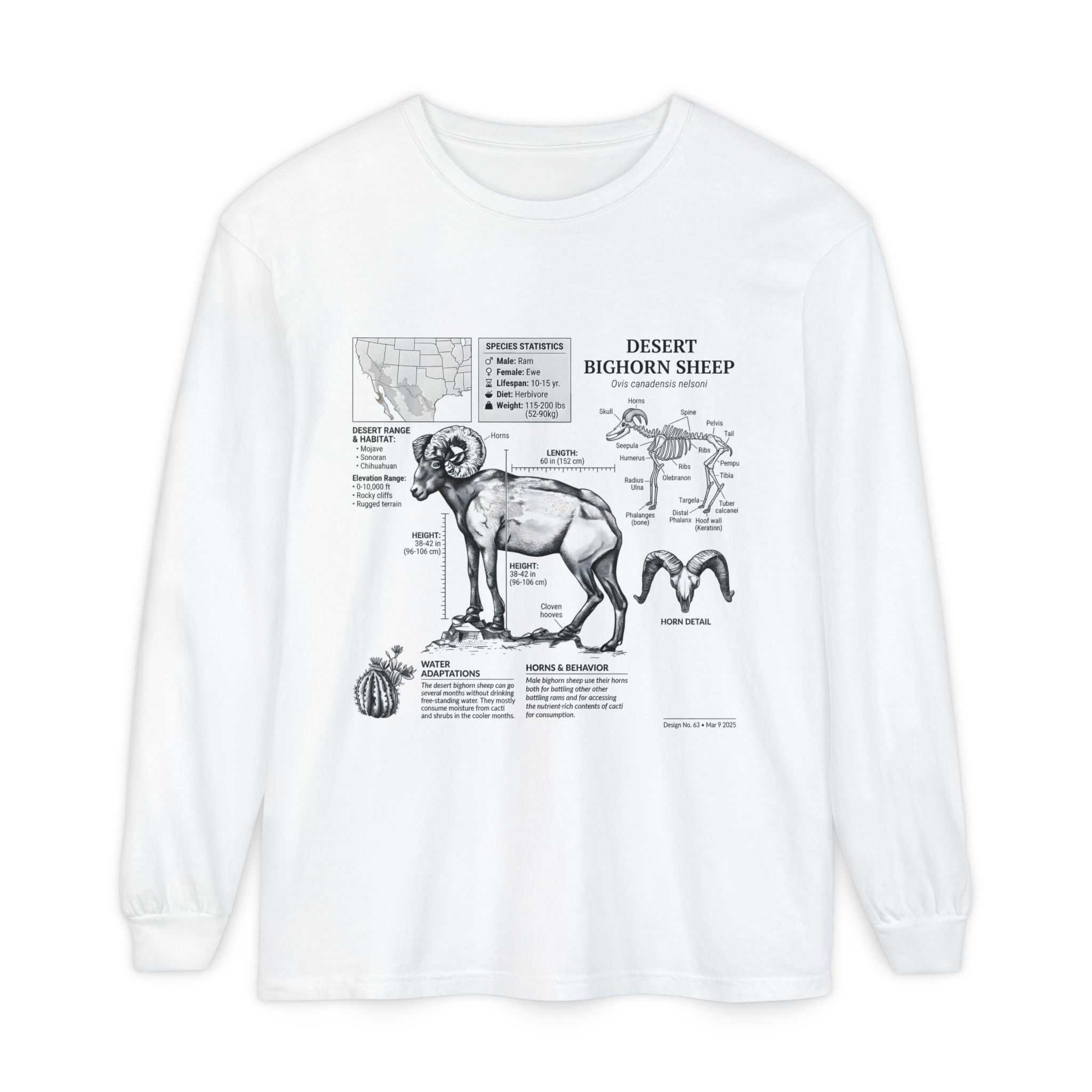 Desert Bighorn Sheep Diagram Long Sleeve T-Shirt Secondary image