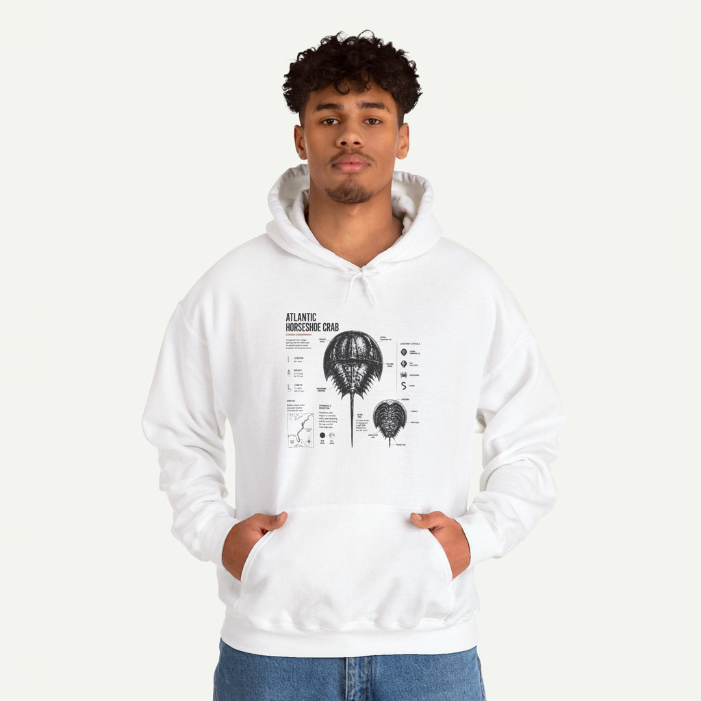 Horseshoe Crab Anatomy Hoodies