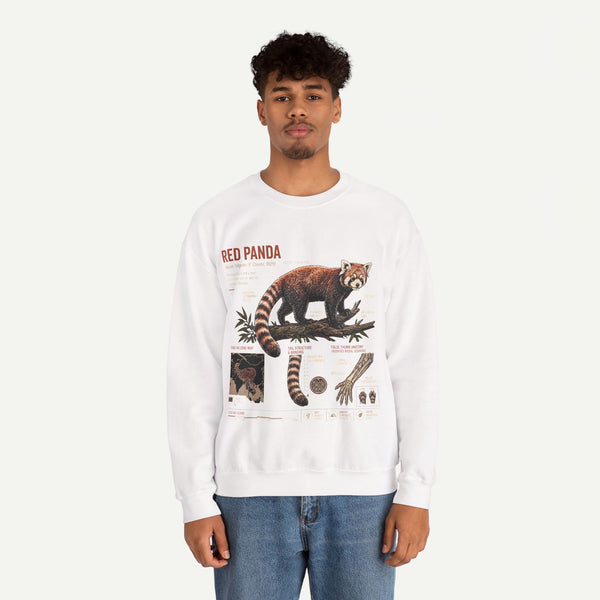 Red Panda Anatomy Sweatshirt — Vintage Wildlife Crewneck