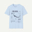 Beluga Whale Anatomy T-Shirt — Marine Life Illustration Tee Delphinapterus leucas