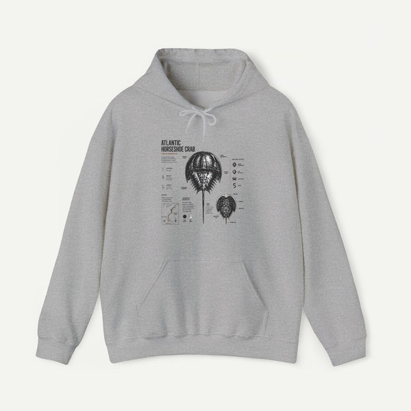 Horseshoe Crab Anatomy Hoodies