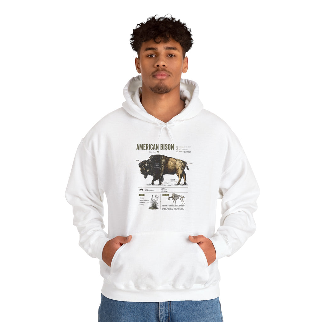 Bison Anatomy Hoodie — American Bison Illustration & Facts Sweatshirt