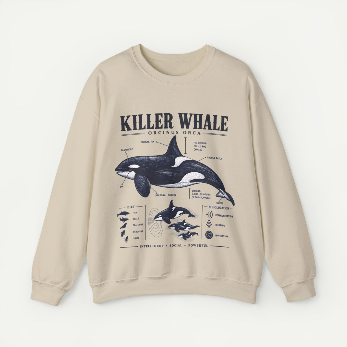 Killer Whale Anatomy Sweatshirt