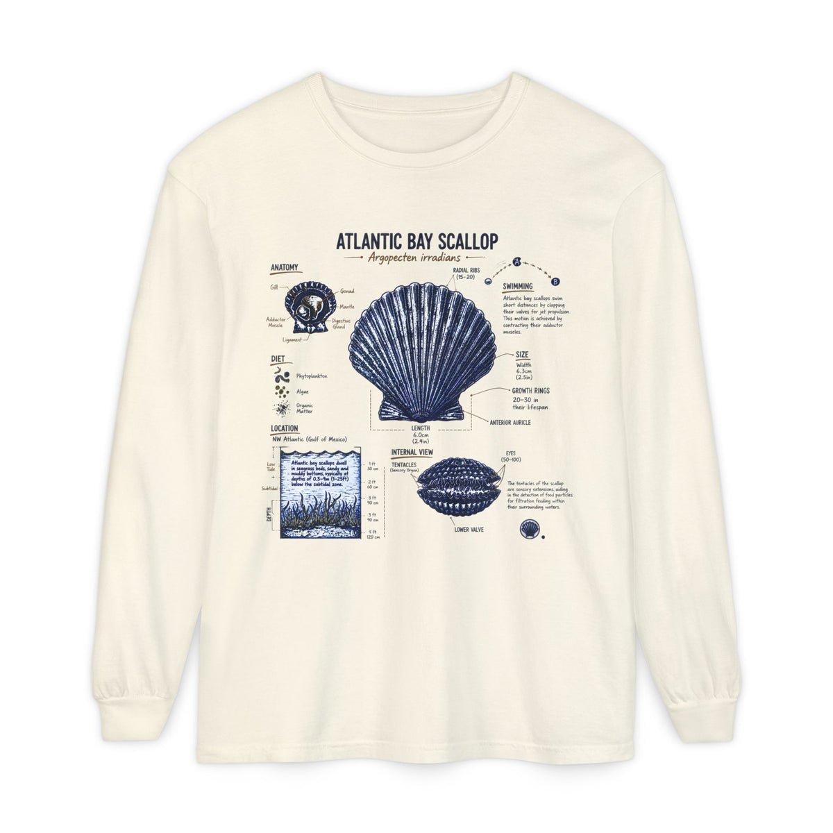 Atlantic Bay Scallop Shell Long Sleeve Tee - Scientific Shell Diagram